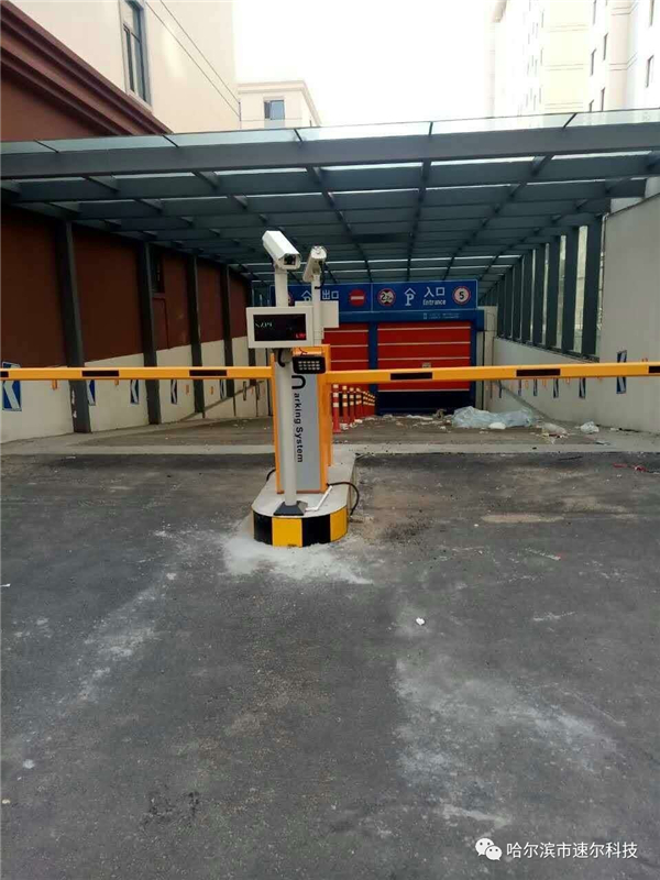 ʶ
