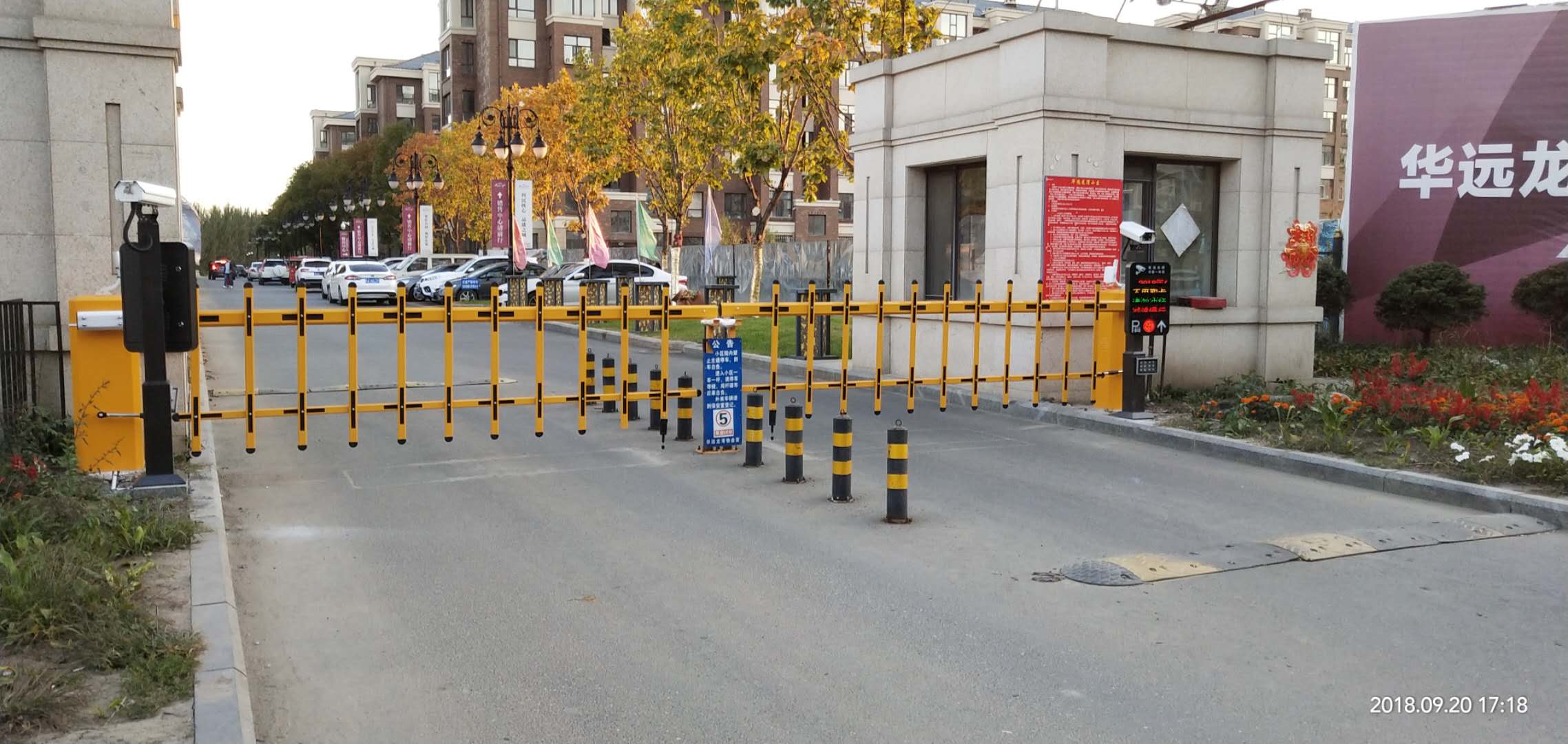 ʶ